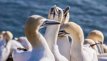 球王会官方-孙颖莎伤愈复出赢下首战 通过比赛检验竞技状态